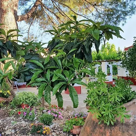 Vivienda Rural - La Huerta De Simon Y Juana * Mogon