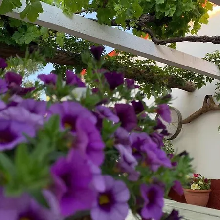 Holiday home Vivienda Rural - La Huerta De Simon Y Juana Mogon
